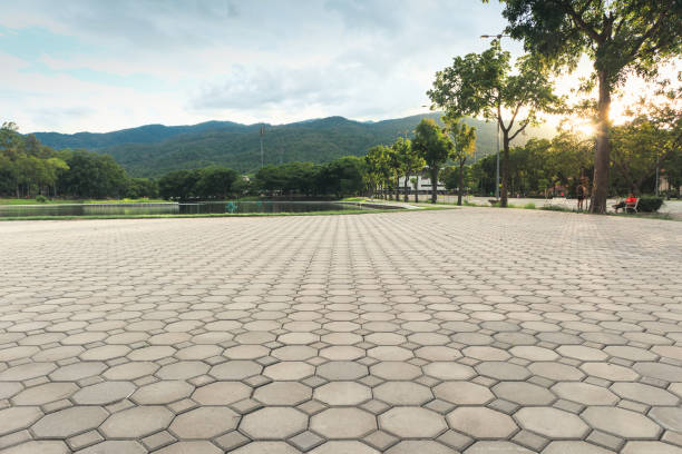 Best Driveway Paver Repair  in Wilder, KY
